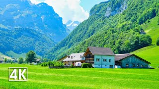 Weissbad Appenzell 🇨🇭 Switzerland [upl. by Alet556]