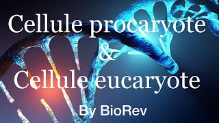 Cellule procaryote Vs cellule eucaryote [upl. by Aymik]