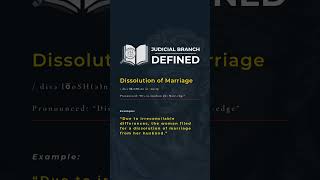 Judicial Branch Defined  Dissolution of Marriage [upl. by Wellington]