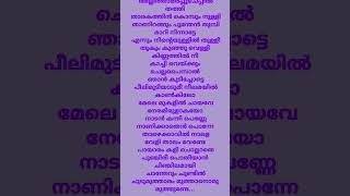 ചെമ്പൂവേ പൂവേ Kalapani movie song lyrics shorts [upl. by Wini305]