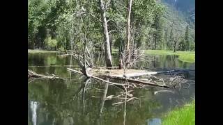 Yosemite Sax  Remembering JIM ROTHERMEL [upl. by Akinajnat]