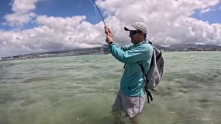 Bonefish In Hawaii [upl. by Drucie]