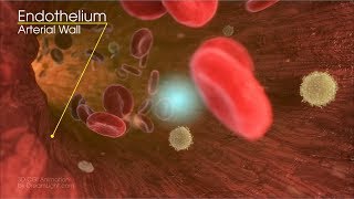 Red Blood Cell Animation  3D Medical Animation  DreamLightcom [upl. by Leifer]