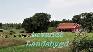 Levande landsbygd Dokumentär om modern lantgård 2024  LTVUSE [upl. by Ziegler86]