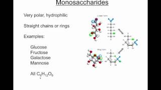 Organic chemistry screencast segment 3  Carbohydratesmp4 [upl. by Koosis]