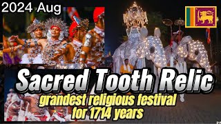 Esela Perahara  grandest religious festival in Sri Lanka  Kandy procession 2024  ASMR [upl. by Leiuqese]