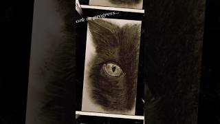 Gatto nero beart cat black disegno pencildrawing shorts drawing drawingart trending [upl. by Shornick434]