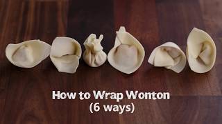 How to Wrap Wonton common 6 ways [upl. by Ettenuahs]