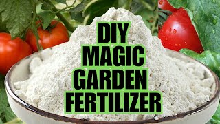 Magic Fertilizer For All Vegetables  100 Success Results [upl. by Barren]