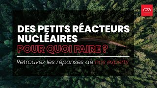 Des petits réacteurs nucléaires  pour quoi faire [upl. by Asial180]