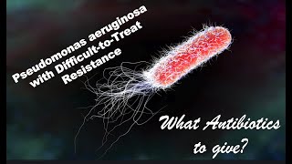 Pseudomonas aeruginosa with DifficulttoTreat Resistance [upl. by Ogirdor433]