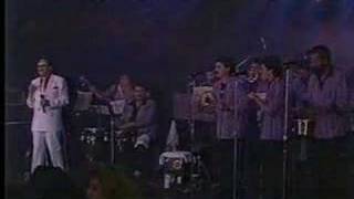 Hector Lavoe  Llego La Banda En Vivo Con La Solucion Salsa [upl. by Osner]