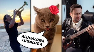 The Kiffness x Alugalug Cat 20  Please Go Away Flamenco Edit ft Spaul [upl. by Alyad]