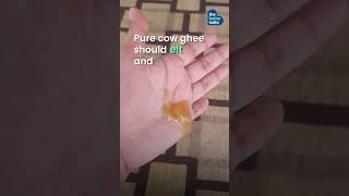 Fake Ghee How To Check Purity at Home shorts foodsafety consumer [upl. by Torrlow733]