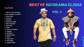 Best of Mthandeni SK  Igcokama Elisha Maskandi Mix Vol 1 [upl. by Ahsian464]