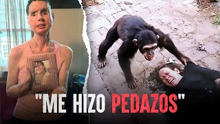 Tenía un chimpancé de mascota pero un día todo se tornó en pesadilla [upl. by Glenna]