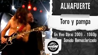 Almafuerte  Toro y pampa En Vivo Obras 2009 MuchMusic 1080p [upl. by Neelra]