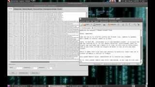 Grendel Scan Web Vulnerability Scanner Backtrack 5r2 [upl. by Duax592]