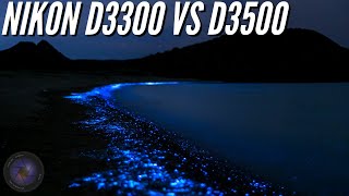 Nikon D3300 vs D3500 Night Settings 📸 Image Quality [upl. by Broderic]