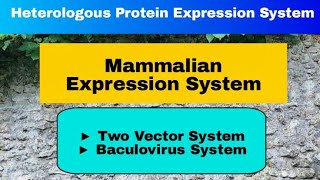 Mammalian Expression System in Hindi [upl. by Aloivaf]