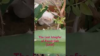 The last istegfar of RasulullahSAW viral shorts foryou cat trending [upl. by Eenert]