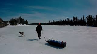 In Search of Speckled Trout  Spring Ice Fishing in Temagami [upl. by Aihtak]