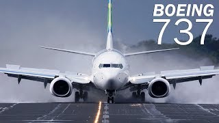 Boeing 737  the most popular airliner [upl. by Uzzia]