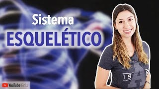 Sistema Esquelético 15 Introdução  Anatomia e etc [upl. by Frierson109]