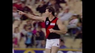 Essendon Highlights  Rd 5 1991 v Sydney [upl. by Larimor235]