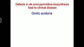 Orotic aciduria [upl. by Notnirb]