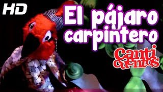 El Pájaro Carpintero Canticuentos Capitulo 19  Mundo Canticuentos [upl. by Eittel899]