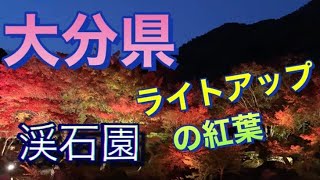 大分県 耶馬溪 『渓石園』ライトアップ [upl. by January787]