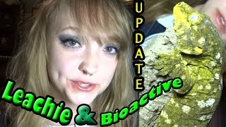 ☁ Leachianus Gecko amp BioActive Terrarium Update ☁ [upl. by Enrobso]