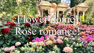 FLOWER DOME ROSE ROMANCE [upl. by Kcirderf]