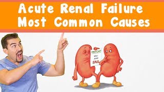 Acute Renal Failure Most common causes [upl. by Reinert]