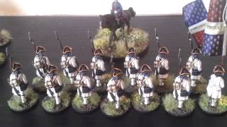 Muskets and Tomahawks Update  French and Indian War Force  Painted MIniatures [upl. by Kylstra279]