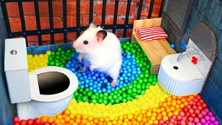 Hamster Escapes the Awesome Maze for Pets in real life 🐹 The Best Hamster Challenges [upl. by Hewie944]