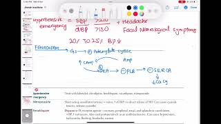 fenoldopam vasodilator pharmacology cardiology 124  First Aid USMLE Step 1 in UrduHindi [upl. by Mraz]