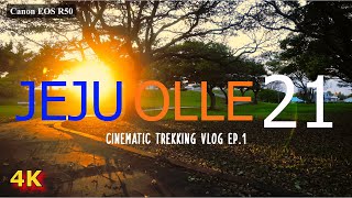 제주 올레 21코스 역방향 스케치  Jeju Olle Course 21  Cinematic Trekking vlog  Canon EOS R50 [upl. by Dorothee]