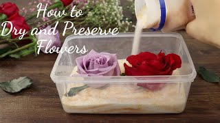 How to Dry and Preserve Flowers  DIY Dried Flower in Resin Art [upl. by Redneval]