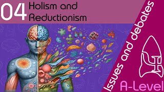 Holism and reductionism  Issues and debates ALevel Psychology [upl. by Gerda]