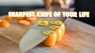 Sharpen Your Kitchen Knife Like A Master Sharpener [upl. by Cairistiona]