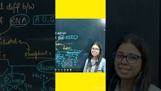 DNA and RNA me ribose and deoxyribose kyu legate hain CBSE board exam class 12 biology [upl. by Kristianson]