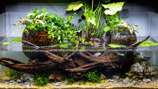 Bog Orb Riparian Planters Aquascape DIY Upflow Filtration Aquarium [upl. by Yelrebmyk]