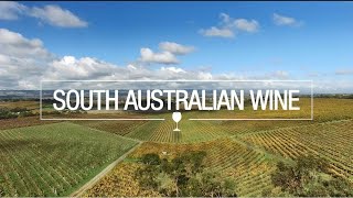 South Australian wine 2024 [upl. by Notlef75]