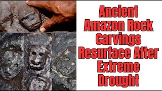 Ancient Amazon Rock Carvings Resurface After Extreme Drought [upl. by Faunia]