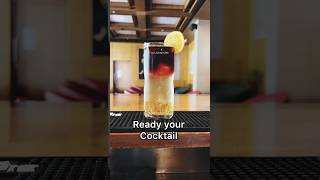 Special cocktail 😱 gin with red wine cocktail shorts redbull gin redwine bartender trending [upl. by Colburn]