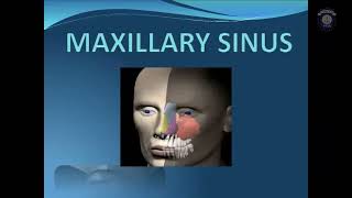 MAXILLARY SINUS [upl. by Atnohsal563]