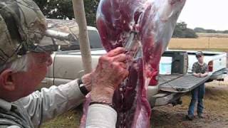 How to Butcher a Deer Fast  LIVEOAK FORKS Ranch Hondo TX [upl. by Assyl]