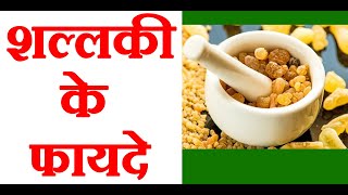 शल्लकी के फायदे और नुकसान  Shallaki Benefits in Hindi  Knowledge Sathi [upl. by Fleck]